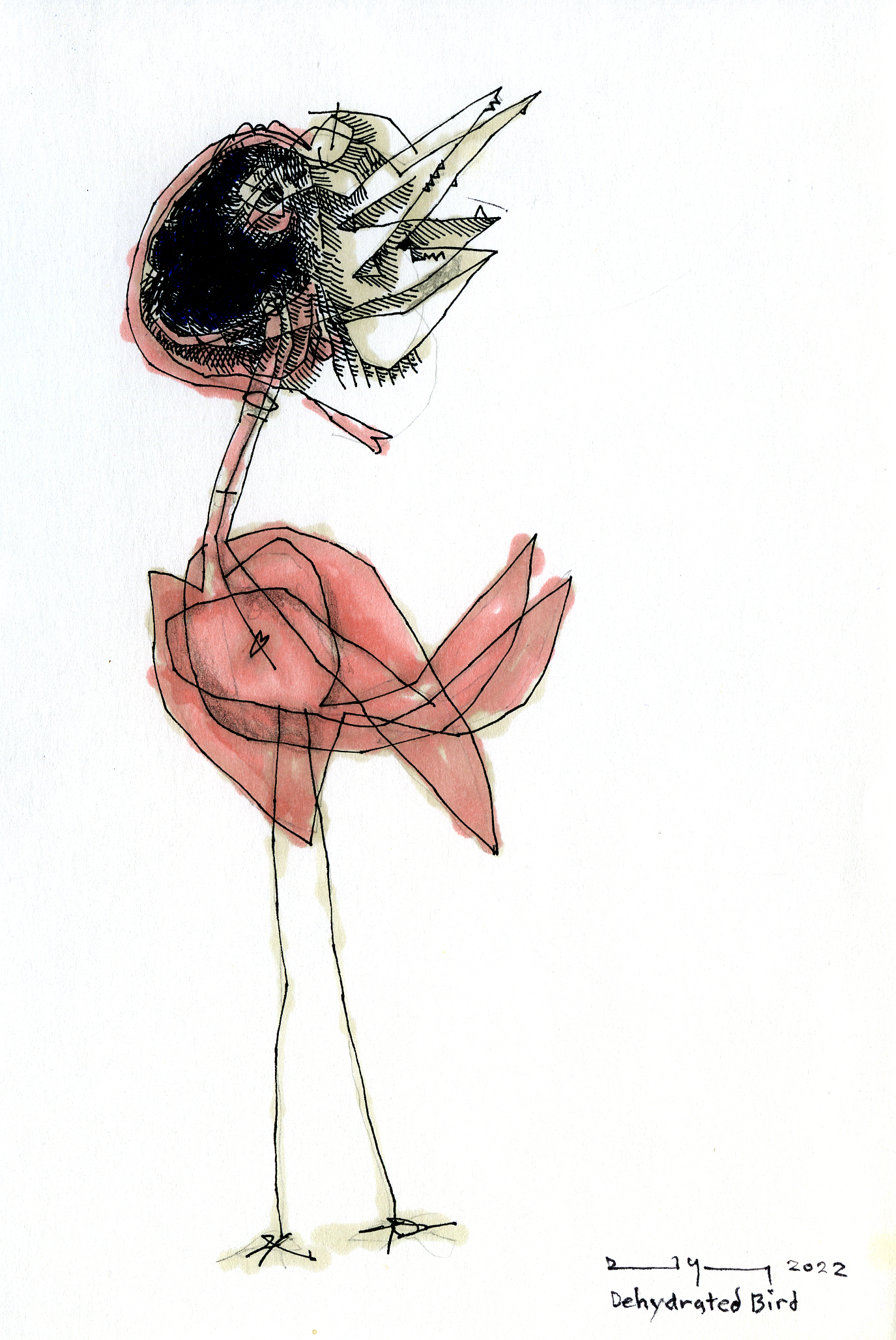 Dehydrated Bird.Pen & Ink Drawing & Watercolor.2022.�450.